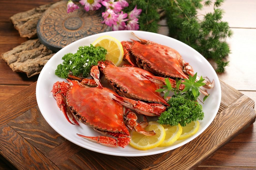 blue crab, seafood, ocean, blue crab, nature, blue crab, blue crab, blue crab, seafood, seafood, seafood, seafood, seafood